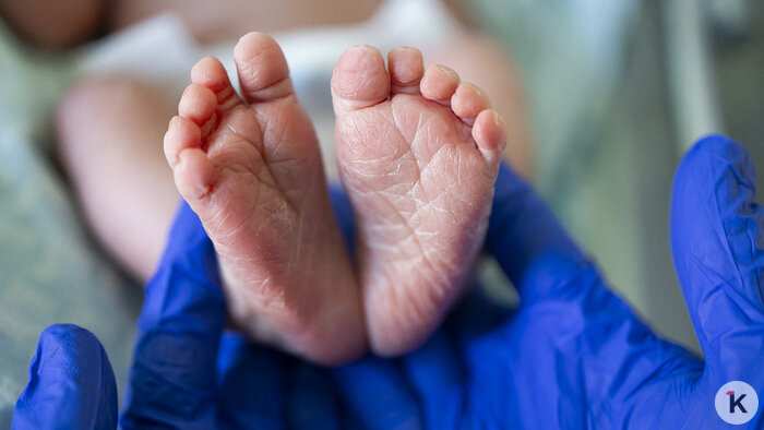 «Инструкции к ребёнку нет»: калининградский неонатолог — о первых минутах жизни и мифах о младенчестве (фото)   - Новости Калининграда | Фото: Александр Подгорчук / «Клопс»