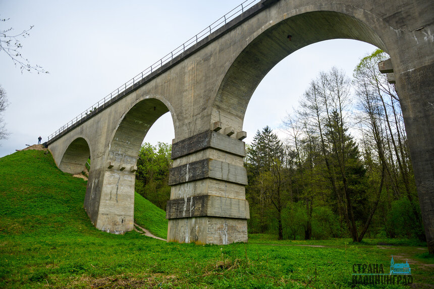 За вход на территорию нацпарка придется заплатить 300 рублей  | Фото: Александр Мелехов