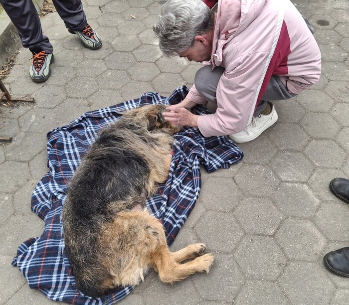 Гретту везут в клинику | Фото: Зоя Шумилова 