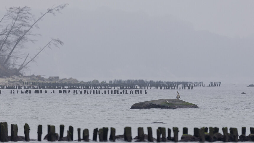 Атмосферные фронты и зоны неустойчивости обойдут Калининград стороной: прогноз погоды на последний понедельник марта - Новости Калининграда | Фото: Александр Подгорчук / Архив «Клопс»