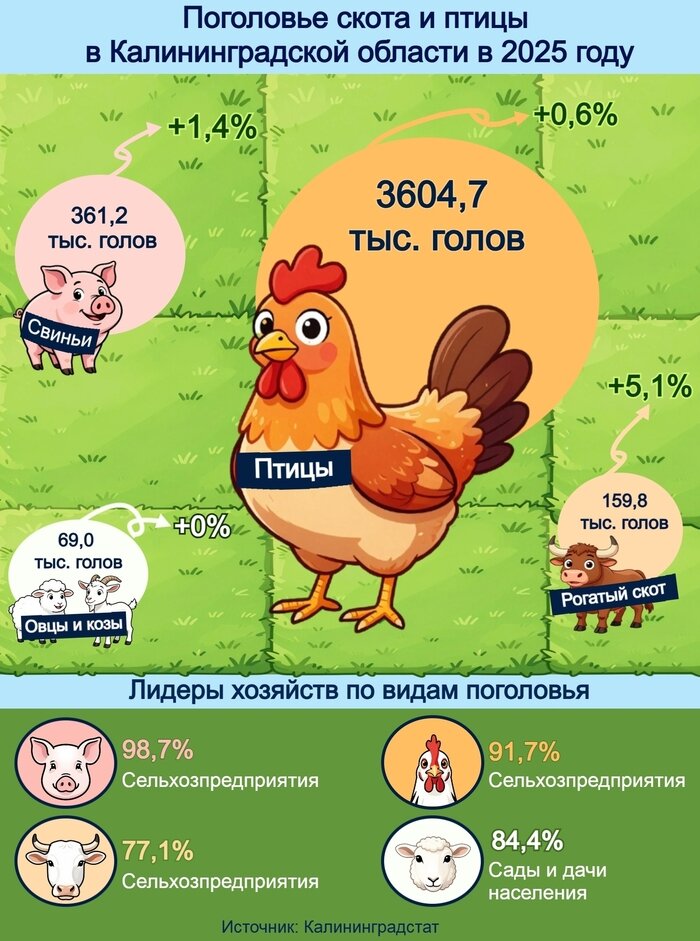 В области растёт поголовье, но падает производство мяса | Инфографика: Артем Пахоменко