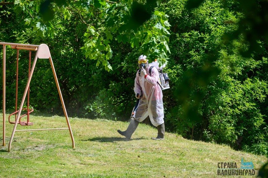 Парки обработали от клещей | Фото: архив «СК»