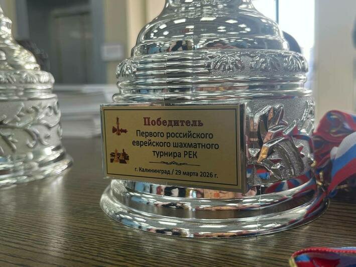 В Калининграде состоялся большой шахматный турнир: в тройку чемпионов вошёл 88-летний игрок - Новости Калининграда | Фото: «Клопс»