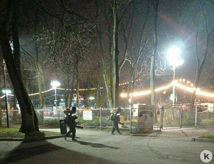 Парки Калининграда обработали от клещей и крыс (фото)   - Новости Калининграда | Фото: Валерия Анисимова / Дирекция ландшафтных парков