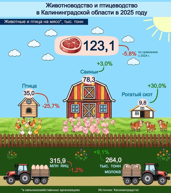 В области растёт поголовье, но падает производство мяса | Инфографика: Артем Пахоменко