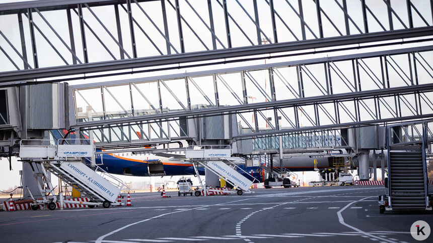 Власти Калининградской области рассказали, когда ждать новых субсидий на авиабилеты   - Новости Калининграда | Фото: Александр Подгорчук / Архив «Клопс»