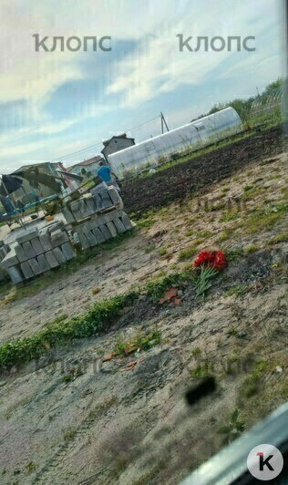 Цветы на участке и странная кукла с зеркалом в окне соседей напротив дома Екатерины | Фото: предоставила Екатерина 