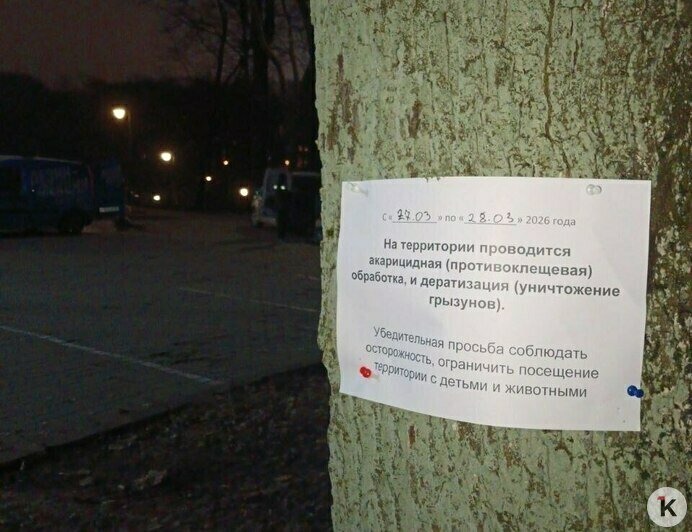 Парки Калининграда обработали от клещей и крыс (фото)   - Новости Калининграда | Фото: Валерия Анисимова / Дирекция ландшафтных парков