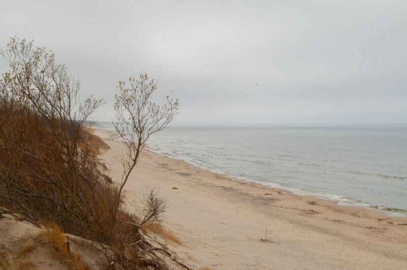 Виды на Куршской косе | Фото: Ксения Андреева