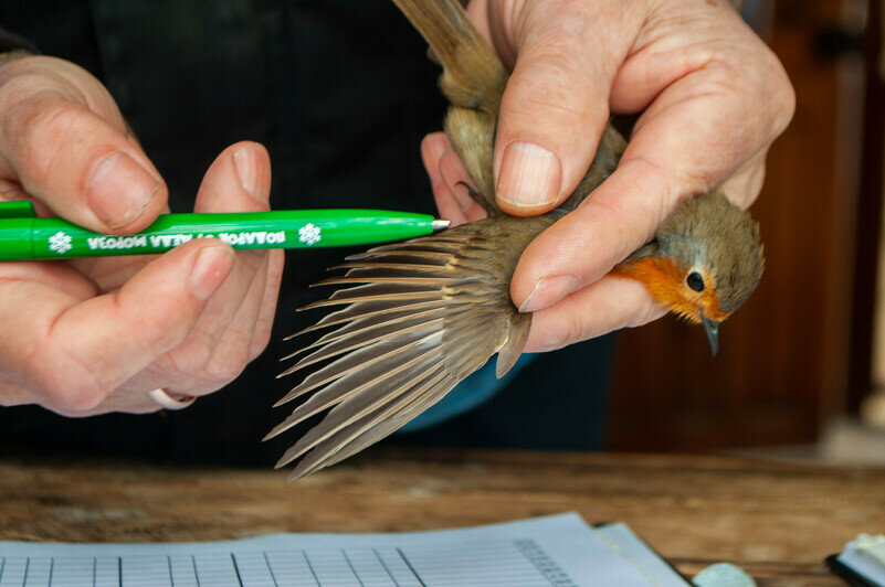 Здесь проводят замеры. | Фото: Ксения Андреева