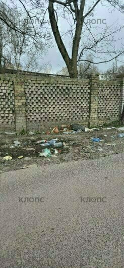 «Бомжатник в центре города, Лукашенко пришёл бы в ужас»: жителей Минской доконала всеми забытая зловонная свалка (фото) - Новости Калининграда | Фото: очевидцы