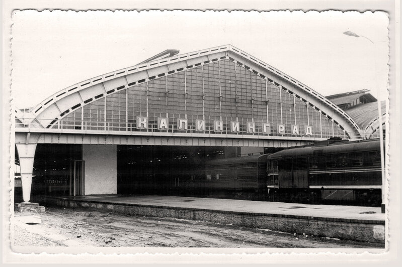 Житель Свердловской области подарил калининградцам подборку исторических фотографий города   - Новости Калининграда | Фото: Александр Прошкин