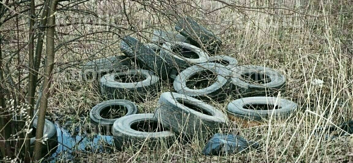 «Там как после артналёта»: в Багратионовском районе нашли свалку жжёных покрышек рядом с гнездовьями птиц (видео)   - Новости Калининграда | Фото: очевидец