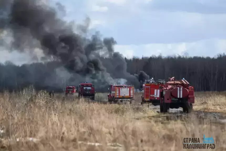 В области на полях горит трава | Фото: архив «СК»