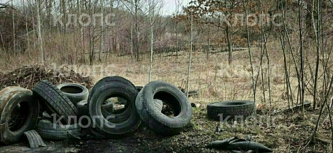 «Там как после артналёта»: в Багратионовском районе нашли свалку жжёных покрышек рядом с гнездовьями птиц (видео)   - Новости Калининграда | Фото: очевидец