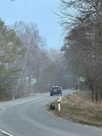 На Куршской косе ищут «неандертальца», закидавшего обочины в нацпарке банками из-под энергетиков (фото) - Новости Калининграда | Фото: канал национального парка «Куршская коса» / Телеграм