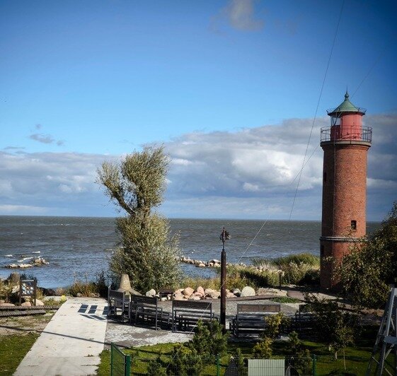 Фото предоставлены пресс-службой Музея Мирового океана