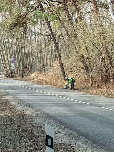 На Куршской косе ищут «неандертальца», закидавшего обочины в нацпарке банками из-под энергетиков (фото) - Новости Калининграда | Фото: канал национального парка «Куршская коса» / Телеграм