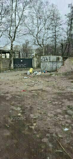 «Бомжатник в центре города, Лукашенко пришёл бы в ужас»: жителей Минской доконала всеми забытая зловонная свалка (фото) - Новости Калининграда | Фото: очевидцы