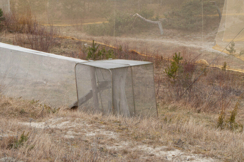 Несколько птиц попали в ловушку. | Фото: Ксения Андреева