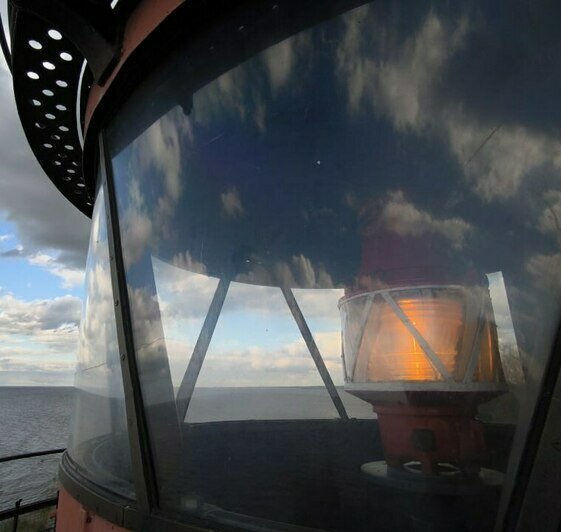 Фото предоставлены пресс-службой Музея Мирового океана