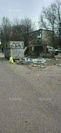 «Бомжатник в центре города, Лукашенко пришёл бы в ужас»: жителей Минской доконала всеми забытая зловонная свалка (фото) - Новости Калининграда | Фото: очевидцы