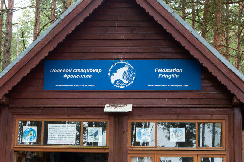 Здесь проводят замеры. | Фото: Ксения Андреева