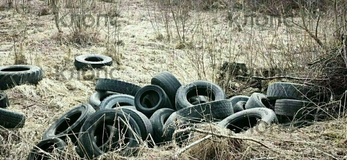 «Там как после артналёта»: в Багратионовском районе нашли свалку жжёных покрышек рядом с гнездовьями птиц (видео)   - Новости Калининграда | Фото: очевидец