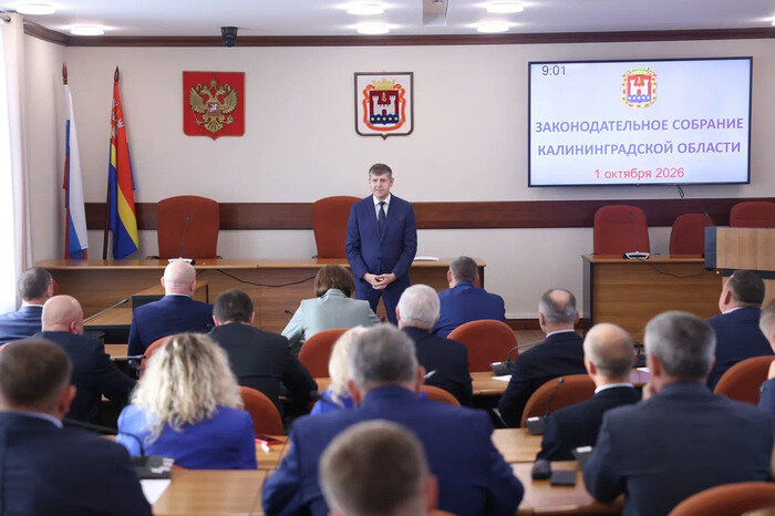 Депутатами Законодательного Собрания Калининградской области  стали Кирилл Сутыка и Михаил Верхоланцев  | Фото: Калининградское отделение "Единой России"