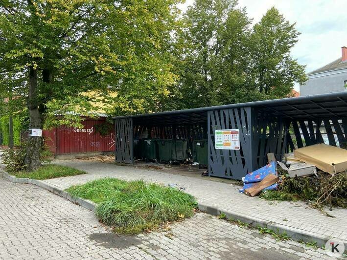 Приучили к цивилизации, а вернулась дикость: калининградцы оставляют пакеты на месте бывшей мусорки и возле урн (фото)   - Новости Калининграда | Фото: очевидец