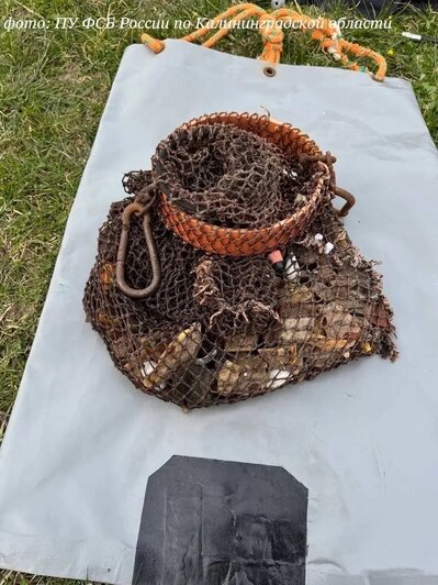 В Балтийском море поймали дайвера с сомнительным прошлым и очень вредной для природы техникой (фото) - Новости Калининграда | Фото: ПУ ФСБ России по Калининградской области