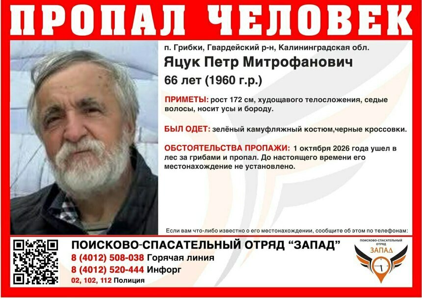В Гвардейском районе второй день ищут грибника в камуфляже с усами и бородой - Новости Калининграда