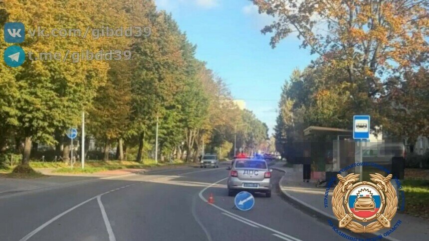 На Судостроительной электросамокатчик наехал на девушку   - Новости Калининграда | Фото: Госавтоинспекция Калининградской области