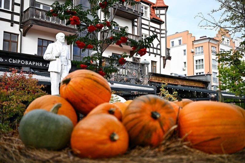 Рыжий город у моря: Зеленоградск провожает последние тёплые дни (фоторепортаж)  - Новости Калининграда | Фото: Александр Подгорчук / «Клопс»