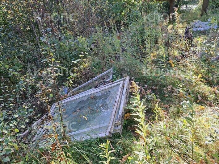 В Пионерском по пути к Камню лжи, где власти хотели сохранить «магию леса», появились горы хлама (фото) - Новости Калининграда | Фото: очевидцы