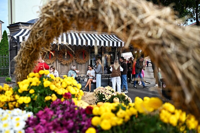 Рыжий город у моря: Зеленоградск провожает последние тёплые дни (фоторепортаж)  - Новости Калининграда | Фото: Александр Подгорчук / «Клопс»
