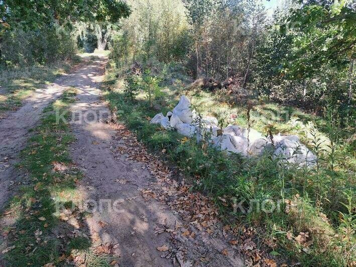 В Пионерском по пути к Камню лжи, где власти хотели сохранить «магию леса», появились горы хлама (фото) - Новости Калининграда | Фото: очевидцы