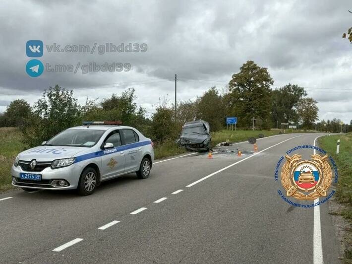 Под Гусевом легковушка вылетела с трассы и налетела на препятствие: пострадал водитель - Новости Калининграда | Фото: канал Госавтоинспекции Калининградской области / Макс
