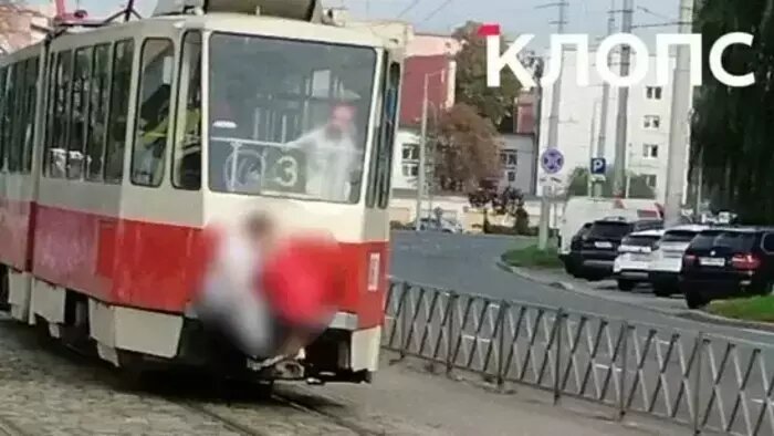 Погром в магазине, бельевой вор и подростки на «колбасе»: чем запомнились выходные в Калининграде и области (фото, видео) - Новости Калининграда | Фото: «Клопс»