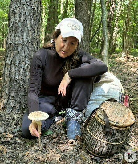 «Трубу смерти» вкуснее жарить с луком: что собирают в калининградских лесах в начале октября и как это готовят (фото) - Новости Калининграда | Фото: Анастасия Курышева