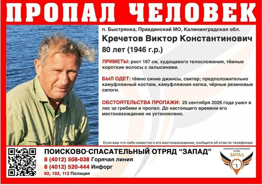Родные пропавшего в Правдинском районе 80-летнего грибника просят помощи добровольцев    - Новости Калининграда