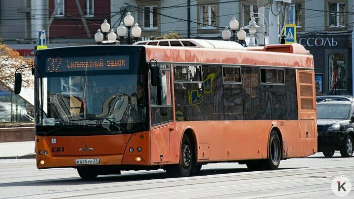 Литовская рота, автобус по прямой и ненужные квартиры: события недели, обсуждавшиеся в Калининграде   - Новости Калининграда | Фото: Александр Подгорчук / Архив «Клопс»
