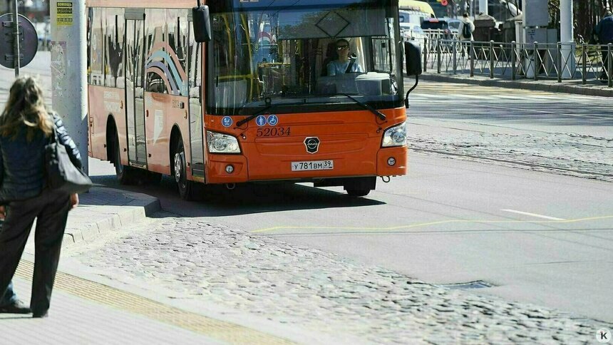  В Калининграде на один из маршрутов добавили автобусы - Новости Калининграда | Фото: Александр Подгорчук / Архив «Клопс»