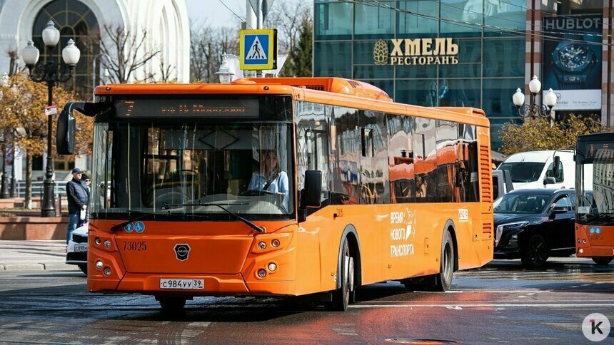 Штрафы не решают проблему с автобусами в Калининграде, но забрать маршруты у частников непросто — Дятлова - Новости Калининграда | Фото: Александр Подгорчук / Архив «Клопс»