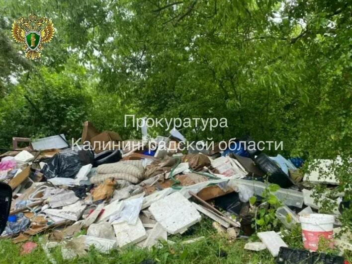 Калининградский Упрдор ликвидировал свалку из старых покрышек и мусора на Северном обходе после вмешательства прокуратуры - Новости Калининграда | Фото: пресс-служба прокуратуры Калининградской области