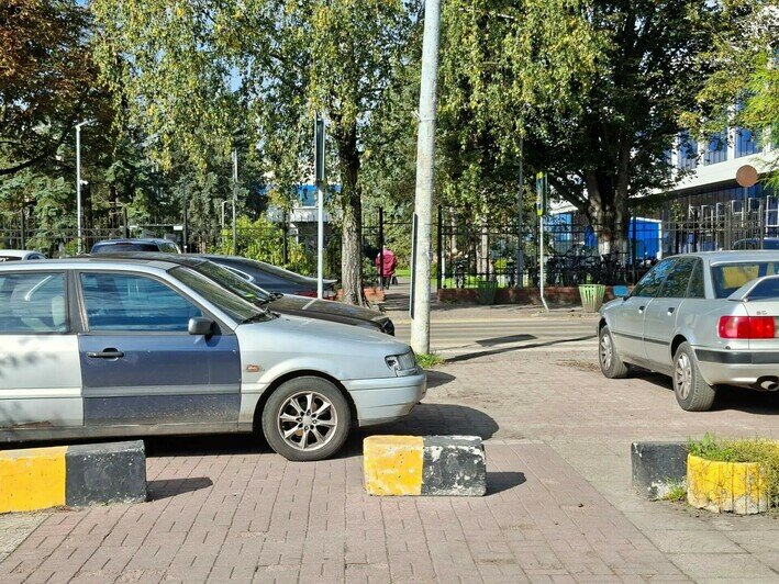Калининградец полтора года бьётся за парковку, а на другом конце города водители плевать хотели на пешеходов (фото) - Новости Калининграда | Фото читателя
