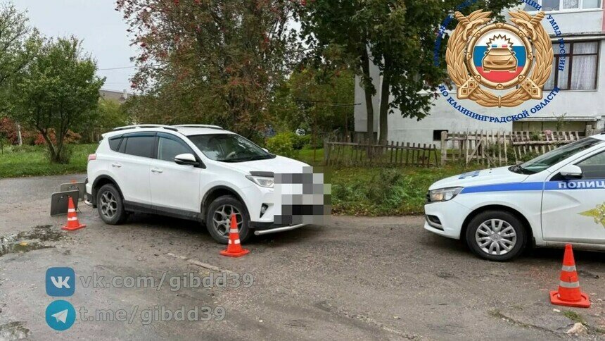 В Родниках машина сдавала назад и сбила пенсионера - Новости Калининграда | Фото: ГАИ региона