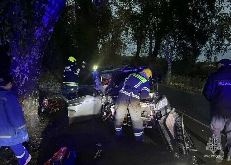 В Светлом легковушка влетела в дерево, одного из пассажиров из машины вытаскивали спасатели - Новости Калининграда | Фото: МЧС региона