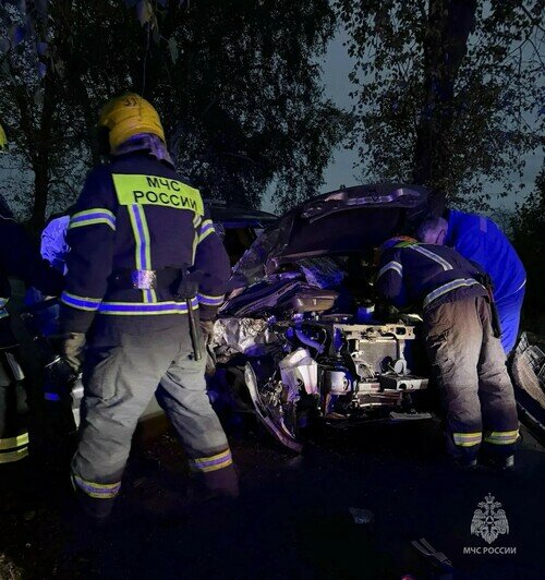 В Светлом легковушка влетела в дерево, одного из пассажиров из машины вытаскивали спасатели - Новости Калининграда | Фото: МЧС региона