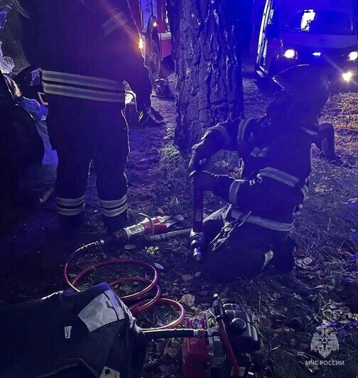 В Светлом легковушка влетела в дерево, одного из пассажиров из машины вытаскивали спасатели - Новости Калининграда | Фото: МЧС региона